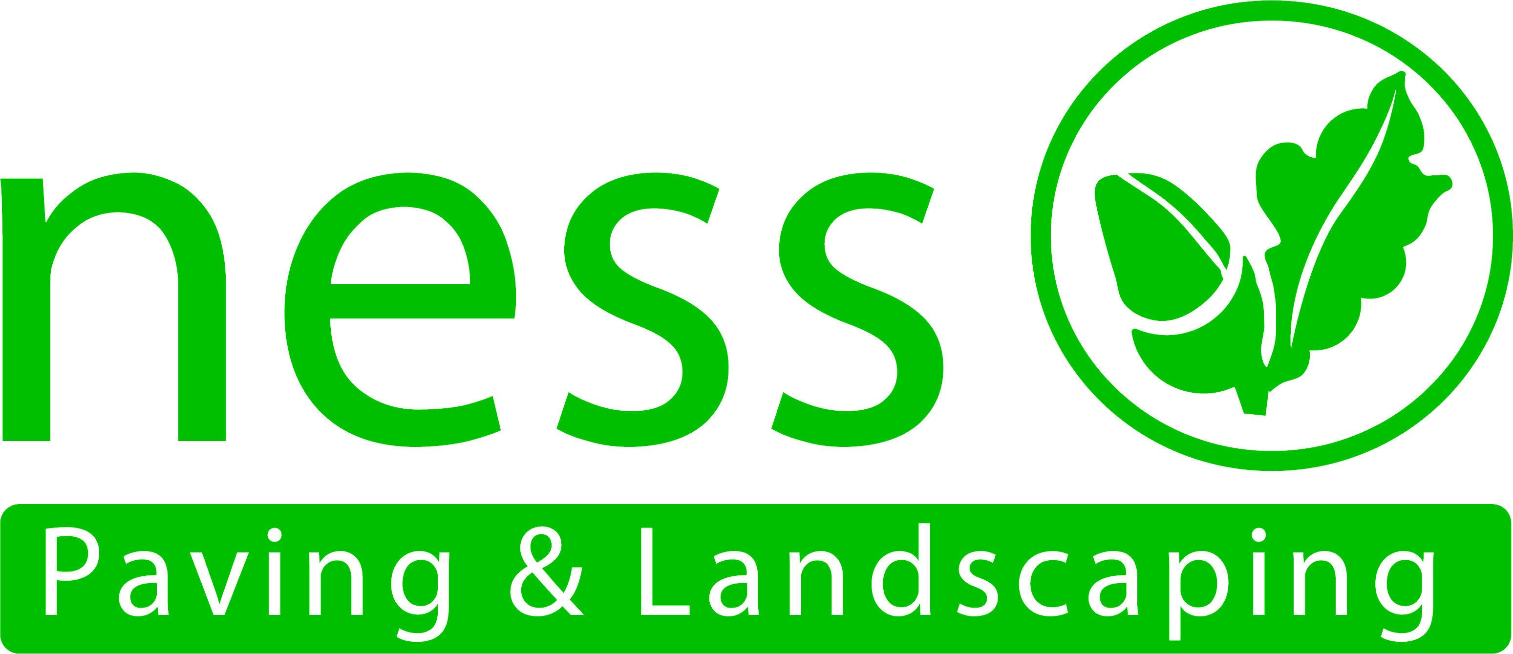 Ness logo
